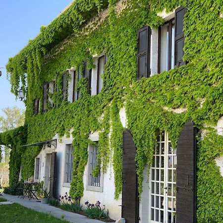 Agriturismo Tra Le Vigne Buttrio Exterior foto