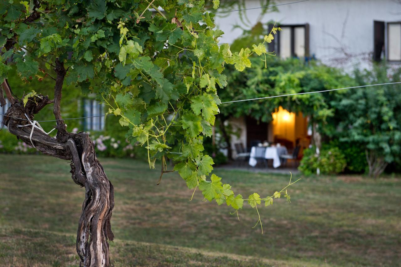 Agriturismo Tra Le Vigne Buttrio Exterior foto