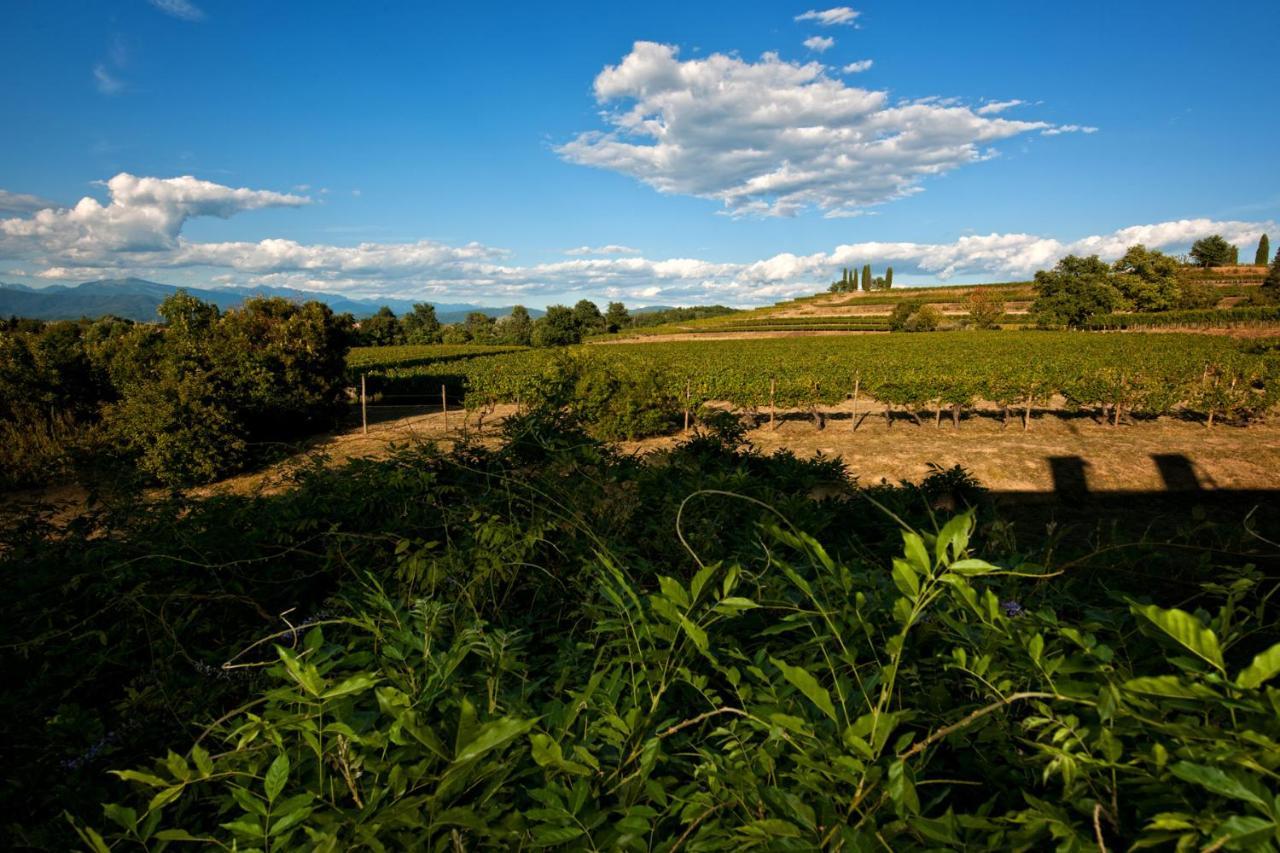 Agriturismo Tra Le Vigne Buttrio Exterior foto