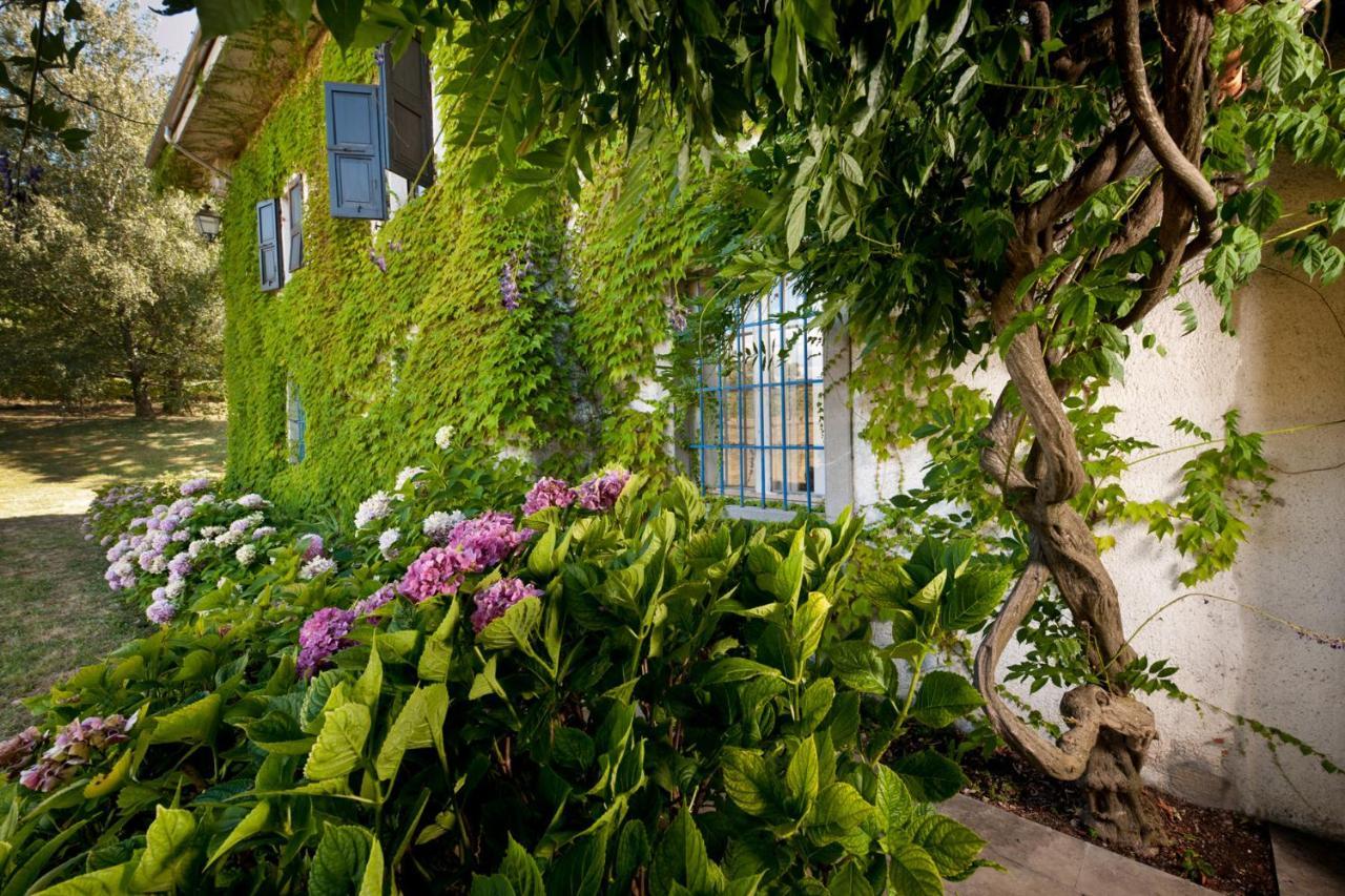 Agriturismo Tra Le Vigne Buttrio Exterior foto