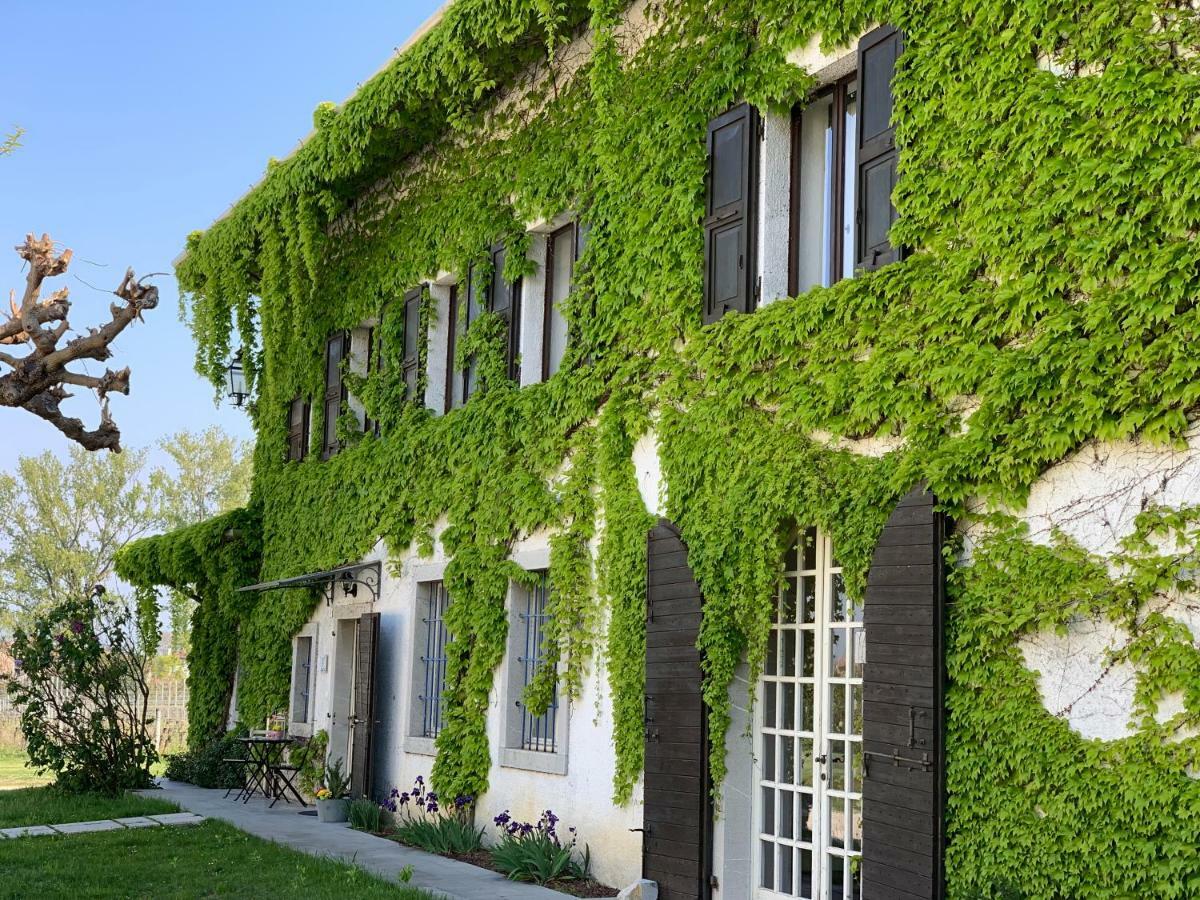 Agriturismo Tra Le Vigne Buttrio Exterior foto
